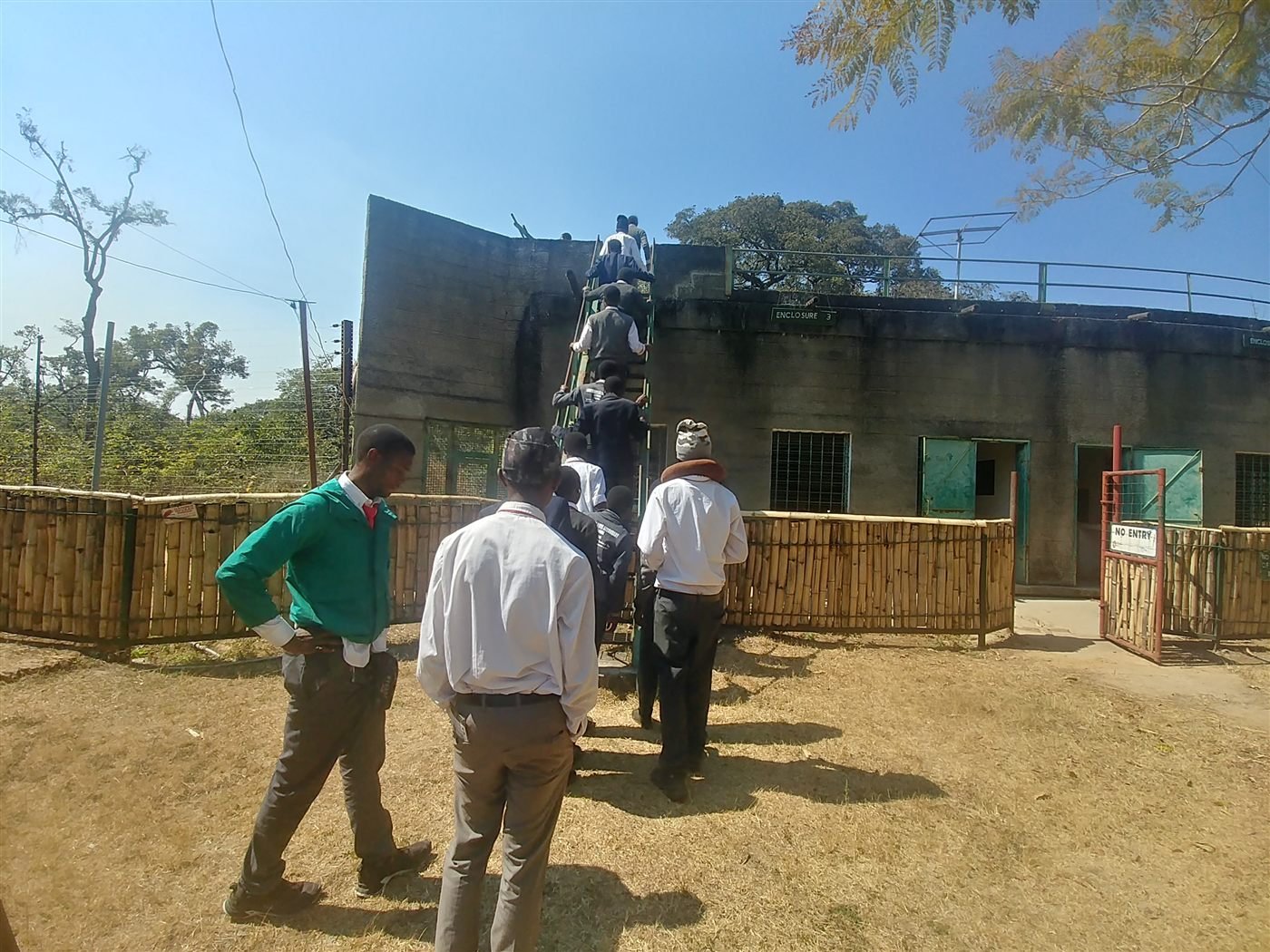 Libarti Boys students using a viewing platform during the Chimfunshi sanctuary visit