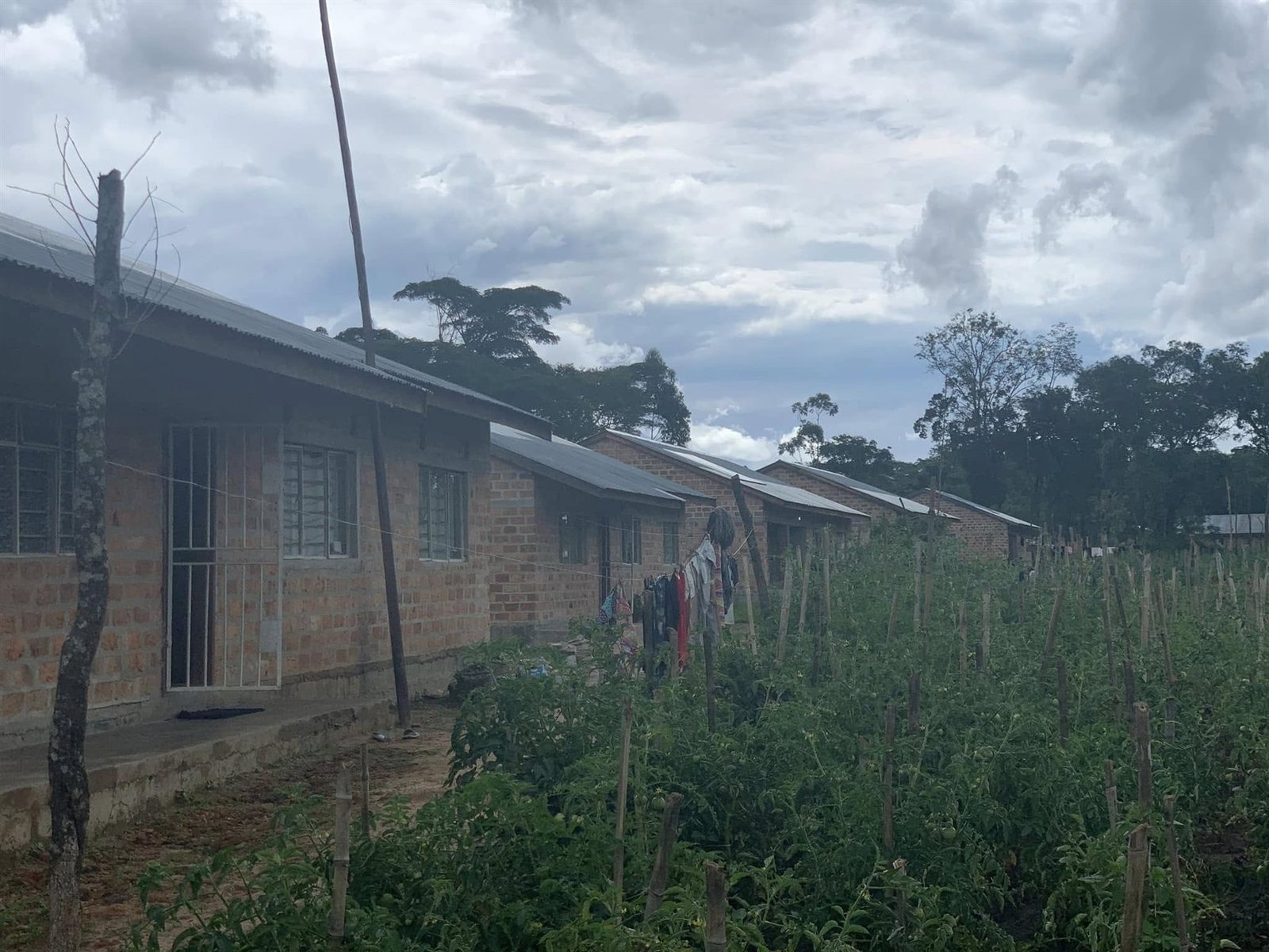 Teacher residences within the Libarti Boys school premises, beside the school garden